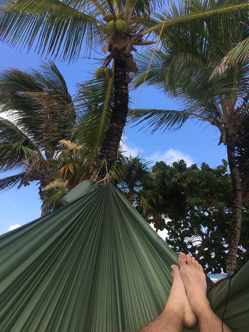 2019/04(April)/Cancun-with-Adriana/1024x768_2019-04-07-Cancun-Bahia-Principie-28-hammock-GOOD.JPG