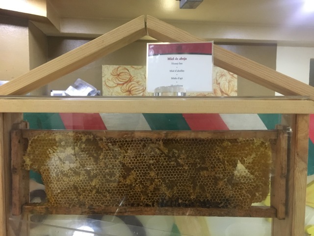 2019-04-09-Cancun-Bahia-Principie-01-real-bees-honeycomb.JPG