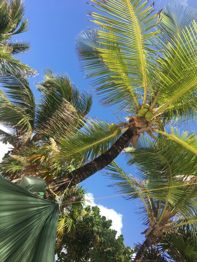 2019/04(April)/Cancun-with-Adriana/800x600_2019-04-07-Cancun-Bahia-Principie-26-hammock.JPG