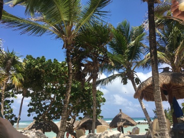 2019-04-07-Cancun-Bahia-Principie-25-hammock.JPG