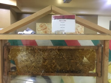 2019-04-09-Cancun-Bahia-Principie-01-real-bees-honeycomb.JPG