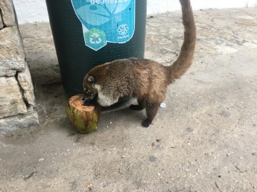 2019-04-09-Cancun-Bahia-Principie-06-Tulum.JPG