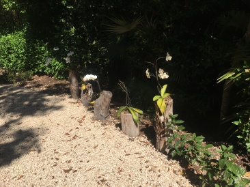 2019-04-10-Cancun-Bahia-Principie-12.JPG