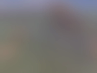 2019-04-10-Cancun-collage.png