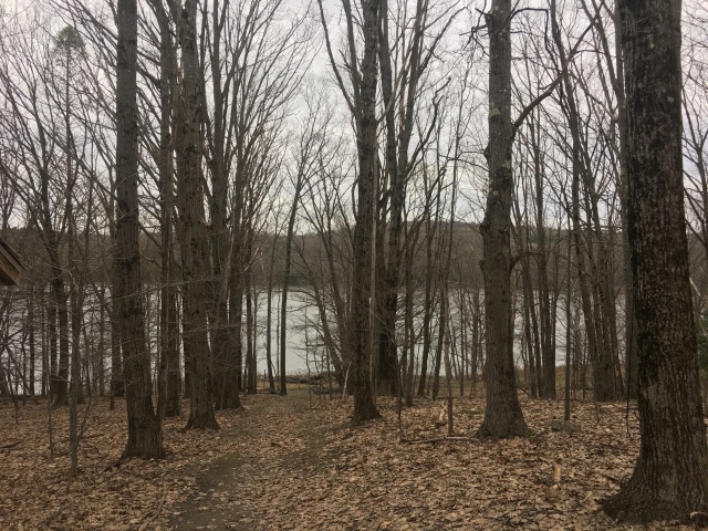 2019/04(April)/Vistra-Travel/640x480_2019-04-23-Vistra-Albany-NY-area-5.JPG