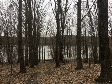2019-04-23-Vistra-Albany-NY-area-4.JPG