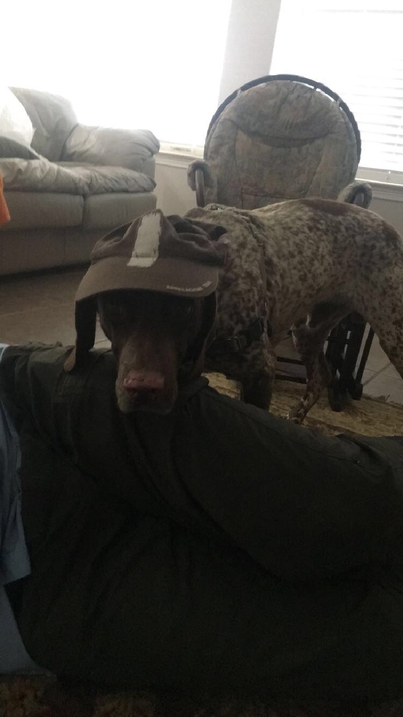 2019-05-05-Blaze-wearing-AT-blaze-hat.JPG