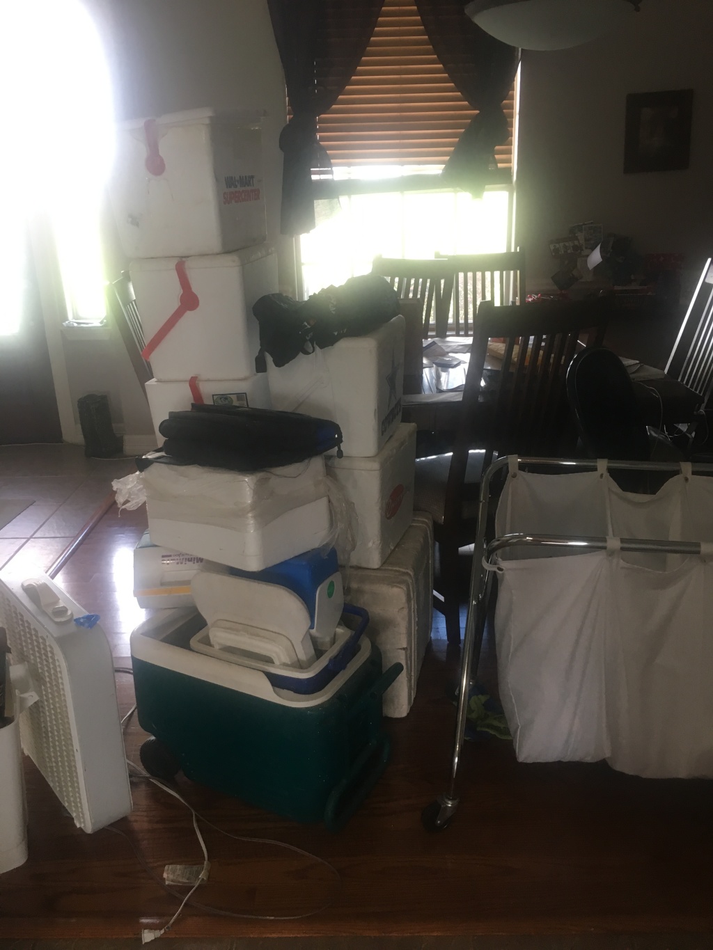 2019/05(May)/Paint-House-Garage-Reorg/1024x768_2019-05-04-Garage-Reoganization-House-Paint-1.JPG