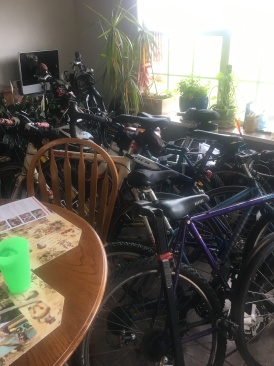 2019-05-04-Garage-Reoganization-House-Paint-2.JPG
