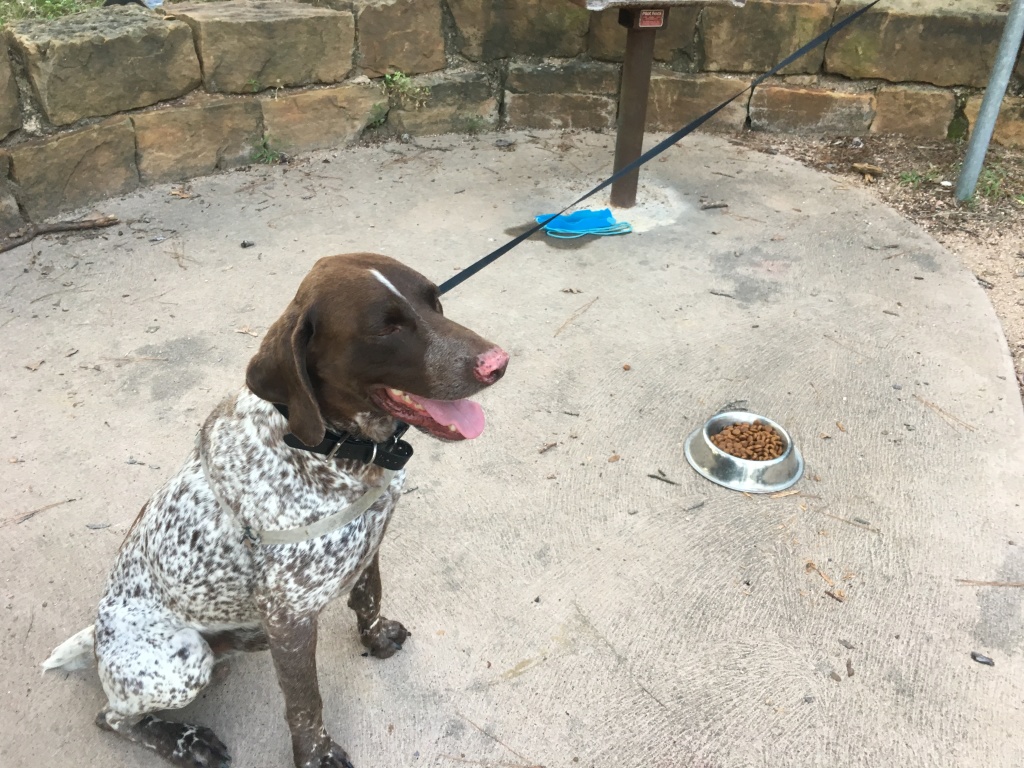 2019/06(June)/Bastrop-camping/1024x768_2019-06-01-Bastrop-Camping-21-Blaze.JPG