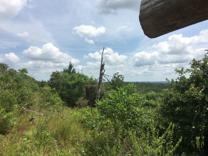 2019/06(June)/Bastrop-camping/800x600_2019-06-01-Bastrop-Camping-09.JPG