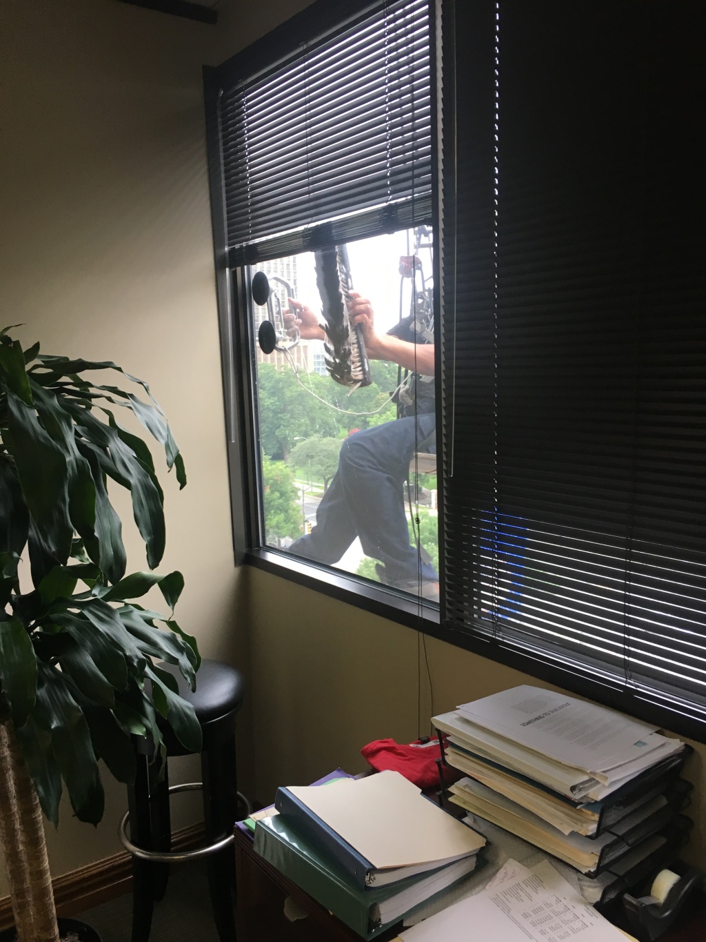2019/06(June)/Misc/1024x768_2019-06-26-window-cleaning-at-Suzis-office.JPG