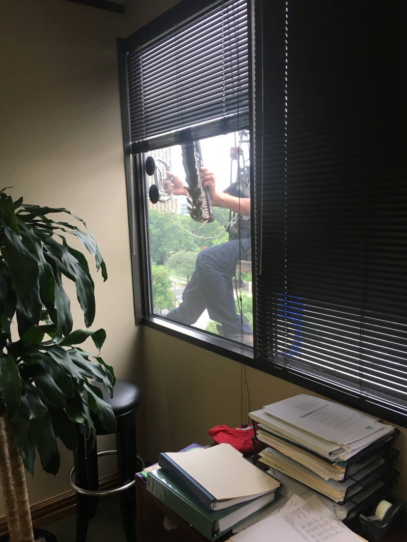 2019/06(June)/Misc/800x600_2019-06-26-window-cleaning-at-Suzis-office.JPG
