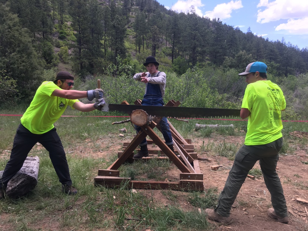 2019-06-11-Philmont-Crew8787-10-Ben-Dominic-2man-saw.JPG
