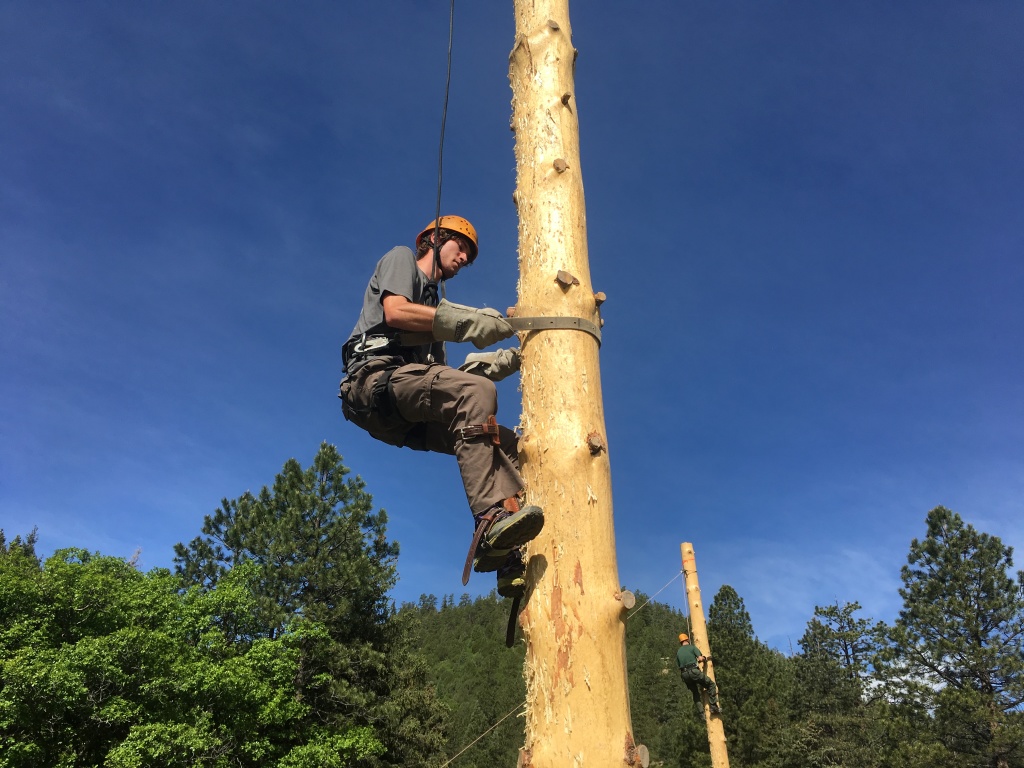 2019/06(June)/Philmont-Crew8787/1024x768_2019-06-16-Philmont-Crew8787-4-Chance-pole-climbing.JPG