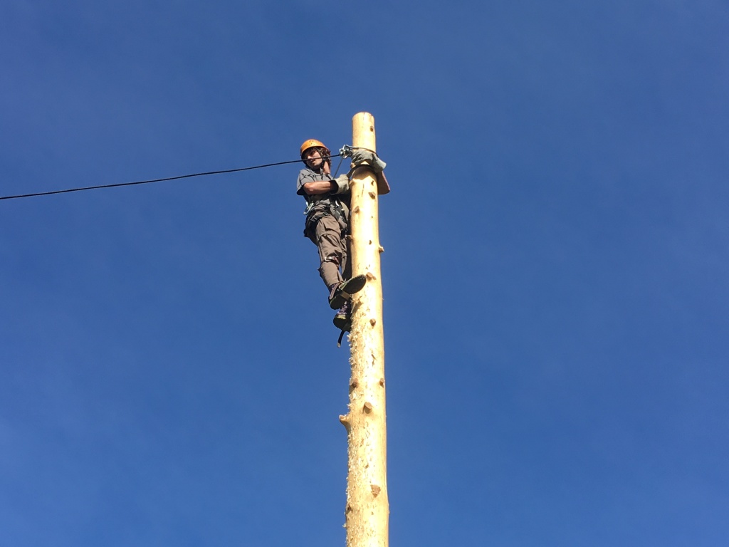 2019/06(June)/Philmont-Crew8787/1024x768_2019-06-16-Philmont-Crew8787-6-Chance-pole-climbing.JPG