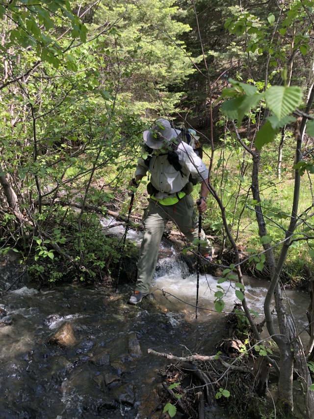 2019/06(June)/Philmont-Crew8787/640x480_2019-06-14-Philmont-Crew8787-6-Travis.JPG
