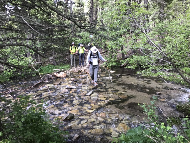 2019/06(June)/Philmont-Crew8787/640x480_2019-06-15-Philmont-Crew8787-5-Travis-Markus-Carl-Chance.JPG