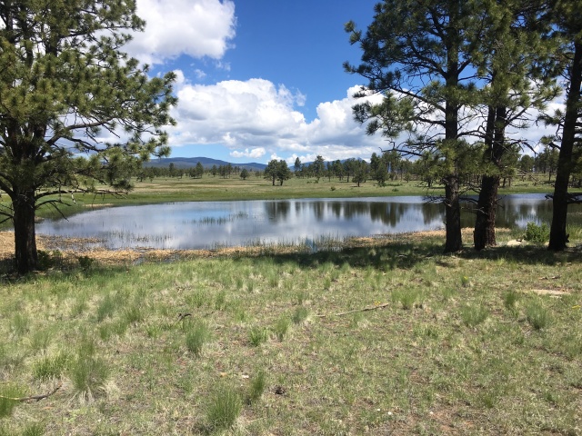 2019-06-16-Philmont-Crew8787-14-Landscape.JPG