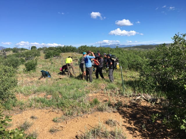 2019-06-19-Philmont-Crew8787-13-Dax-Dominic-Ben-helping-a-lost-crew.JPG