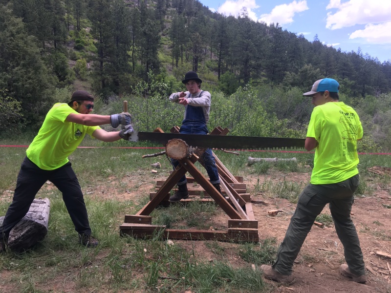 2019-06-11-Philmont-Crew8787-10-Ben-Dominic-2man-saw.JPG