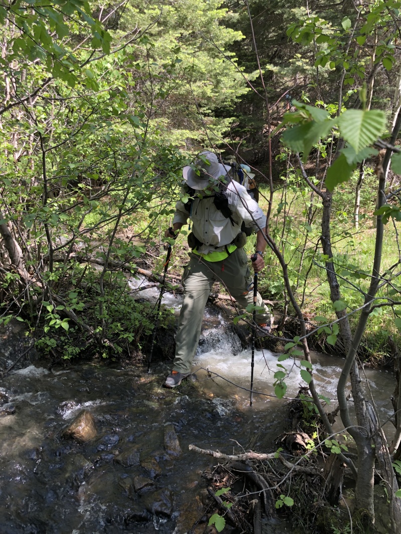 2019/06(June)/Philmont-Crew8787/800x600_2019-06-14-Philmont-Crew8787-6-Travis.JPG