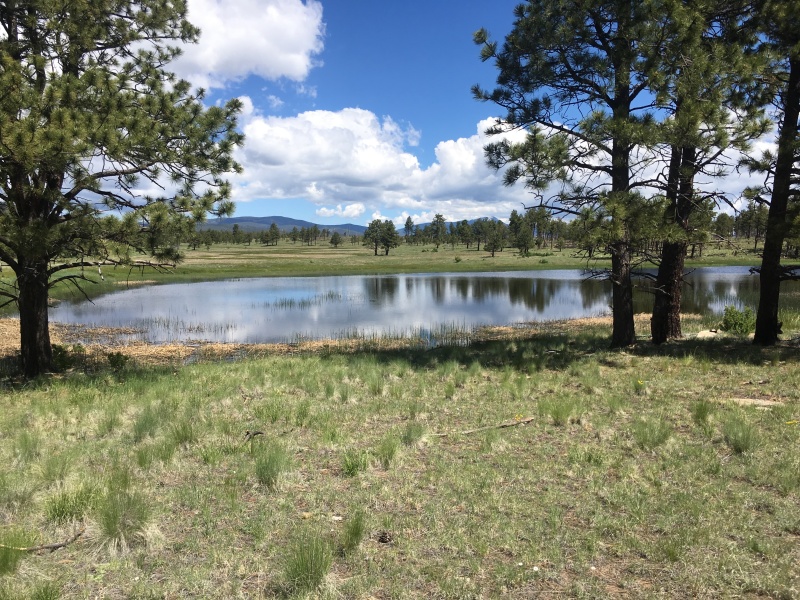 2019/06(June)/Philmont-Crew8787/800x600_2019-06-16-Philmont-Crew8787-14-Landscape.JPG