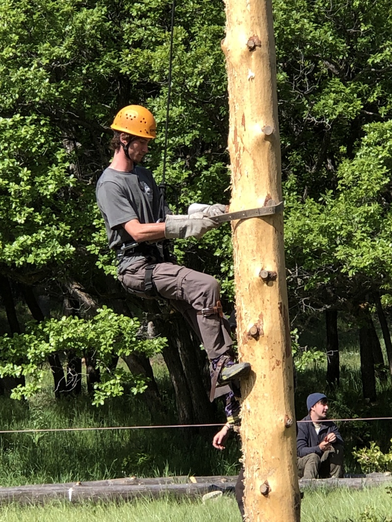2019/06(June)/Philmont-Crew8787/800x600_2019-06-16-Philmont-Crew8787-3-Chance-pole-climbing.JPG