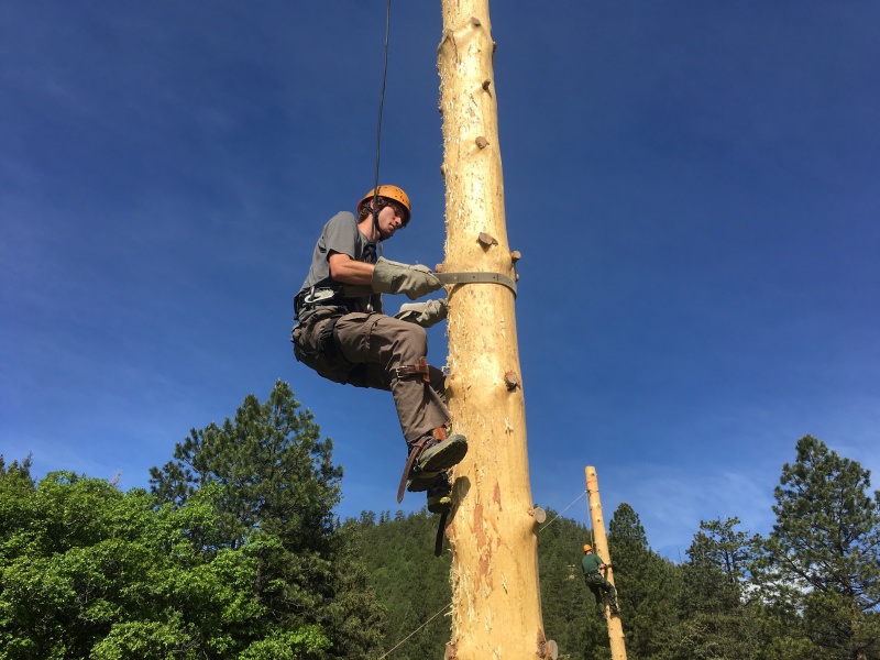 2019/06(June)/Philmont-Crew8787/800x600_2019-06-16-Philmont-Crew8787-4-Chance-pole-climbing.JPG