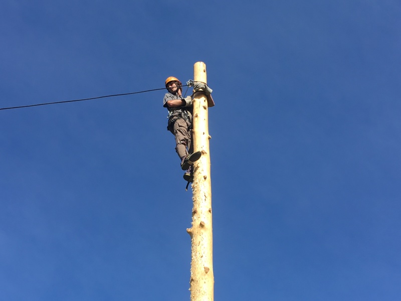 2019/06(June)/Philmont-Crew8787/800x600_2019-06-16-Philmont-Crew8787-6-Chance-pole-climbing.JPG