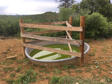 2019-06-17-Philmont-Crew8787-20-water-hole.JPG