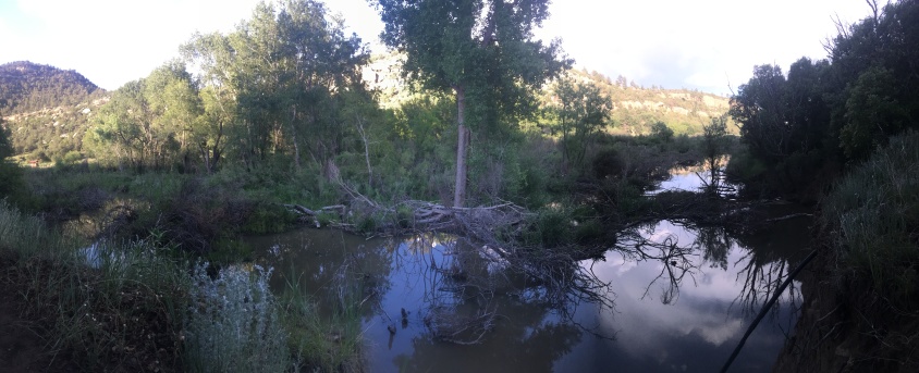 2019-06-18-Philmont-Crew8787-17-Landscape.JPG