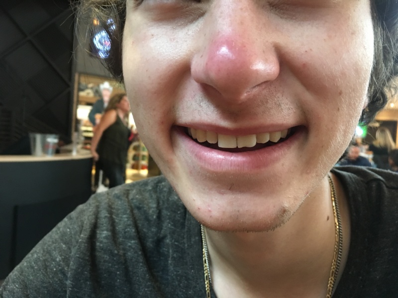 2019/07(July)/Jim-Janeen-50th-Anniversary-Alaska-Cruise/03_Seattle/800x600_2019-07-03-Dax-has-a-friend-on-his-nose_1.JPG