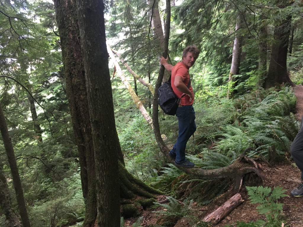 2019/07(July)/Jim-Janeen-50th-Anniversary-Alaska-Cruise/07_Ketchican/1024x768_2019-07-07-50th-anniversary-cruise-Ketchican-18-Justin-on-crooked-tree.JPG