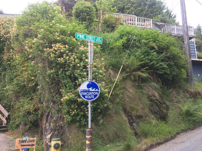 2019/07(July)/Jim-Janeen-50th-Anniversary-Alaska-Cruise/07_Ketchican/800x600_2019-07-07-50th-anniversary-cruise-Ketchican-06-Tsunami-evacuation-route.JPG