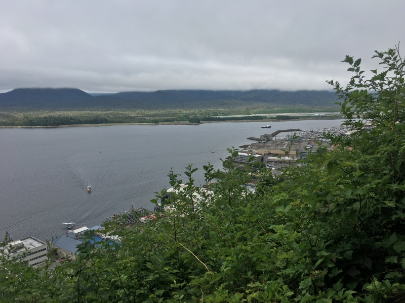 2019/07(July)/Jim-Janeen-50th-Anniversary-Alaska-Cruise/07_Ketchican/800x600_2019-07-07-50th-anniversary-cruise-Ketchican-15-Landscape.JPG