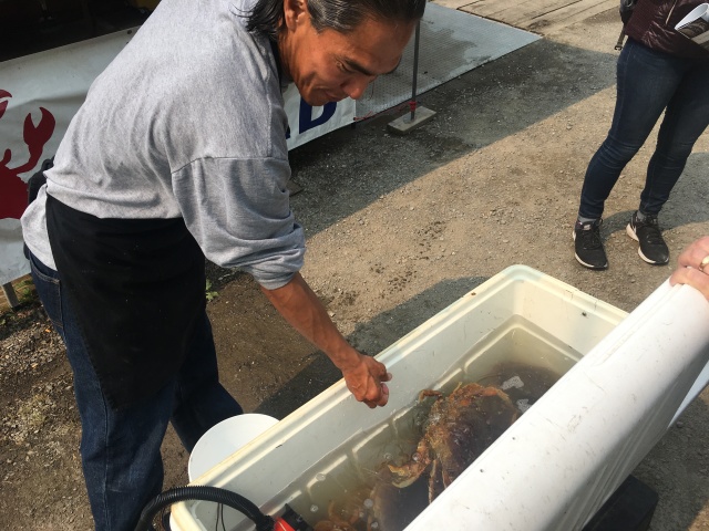 2019-07-08-50th-anniversary-cruise-Icy-Strait-Hoonah-22-fresh-crab.JPG