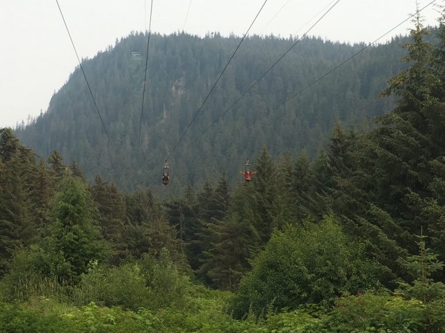 2019-07-08-50th-anniversary-cruise-Icy-Strait-Hoonah-32-zipline.JPG