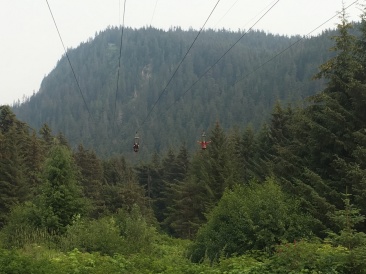 2019-07-08-50th-anniversary-cruise-Icy-Strait-Hoonah-32-zipline.JPG