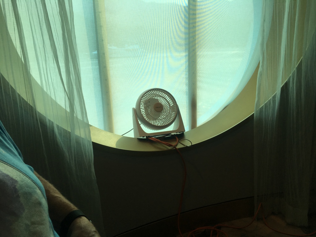 2019-07-09-50th-anniversary-cruise-Juneau-50-our-dinner-fan.JPG
