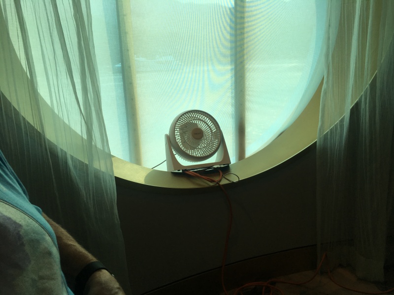 2019-07-09-50th-anniversary-cruise-Juneau-50-our-dinner-fan.JPG