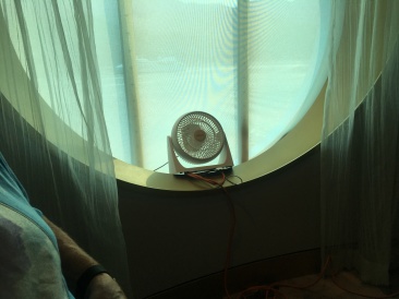 2019-07-09-50th-anniversary-cruise-Juneau-50-our-dinner-fan.JPG