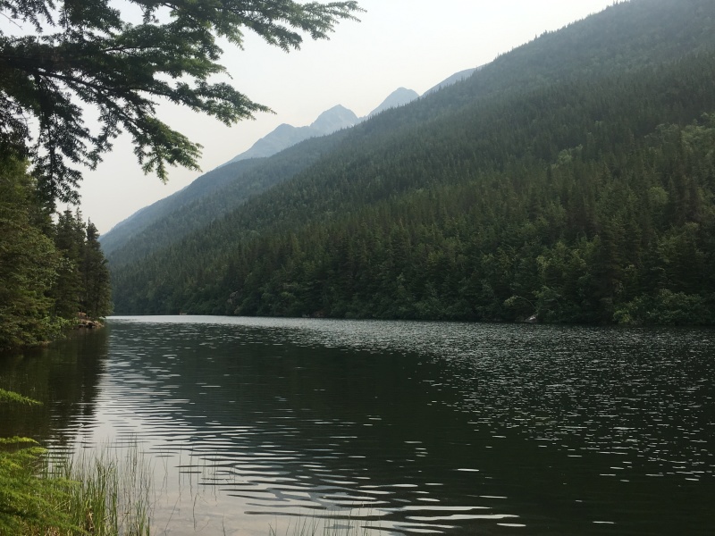 2019/07(July)/Jim-Janeen-50th-Anniversary-Alaska-Cruise/10_Skagway/800x600_2019-07-10-50th-anniversary-cruise-Skagway-09-Landscape.JPG