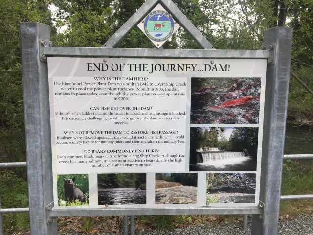 2019-07-13-50th-anniversary-cruise-Anchorage-08-Salmon-hatchery.JPG
