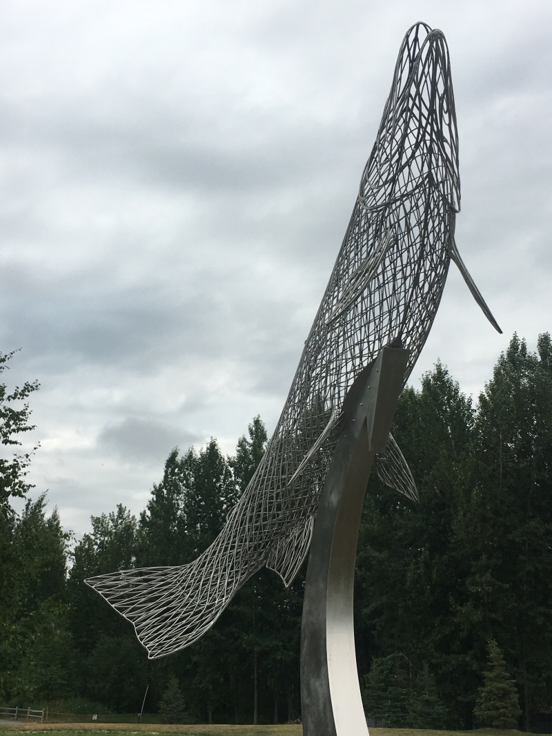 2019/07(July)/Jim-Janeen-50th-Anniversary-Alaska-Cruise/13_Anchorage/800x600_2019-07-13-50th-anniversary-cruise-Anchorage-02-Salmon-hatchery.JPG