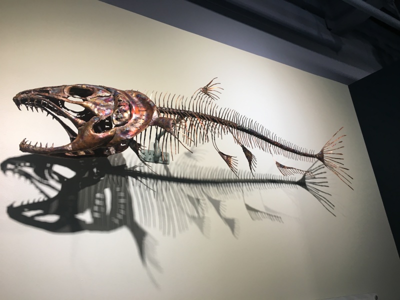 2019-07-13-50th-anniversary-cruise-Anchorage-09-Salmon-hatchery.JPG