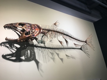 2019-07-13-50th-anniversary-cruise-Anchorage-09-Salmon-hatchery.JPG