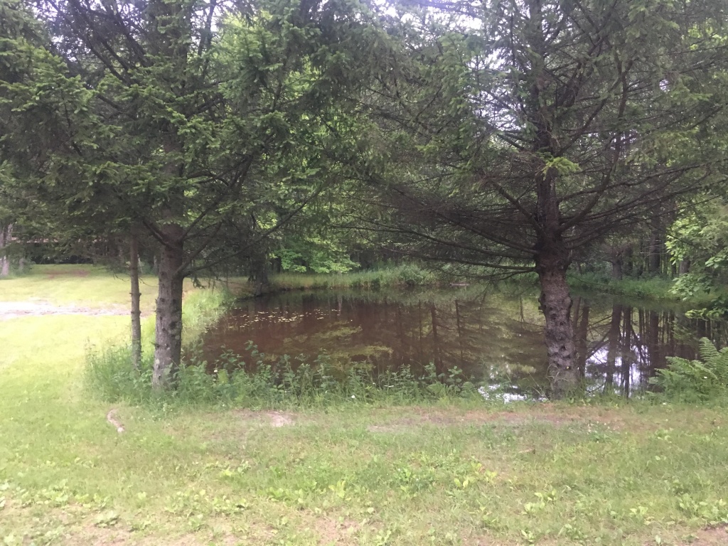 2019/07(July)/VA-Tomah-WI/1024x768_2019-07-16-VA-Tomah-WI-lead-therapy-11.JPG