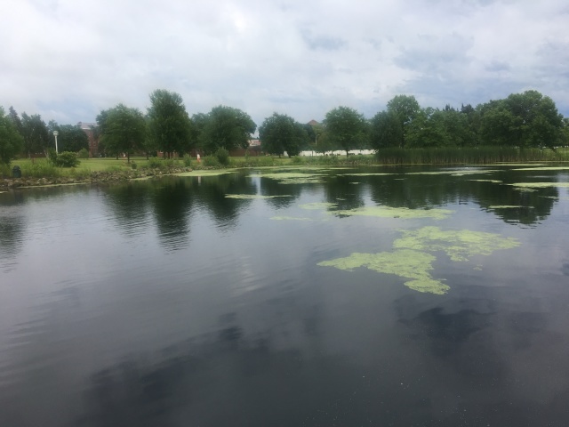 2019-07-18-VA-Tomah-WI-VAMC-pond-1.JPG