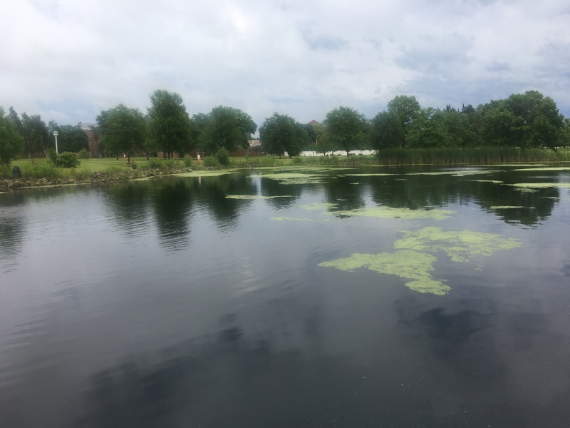 2019/07(July)/VA-Tomah-WI/800x600_2019-07-18-VA-Tomah-WI-VAMC-pond-1.JPG